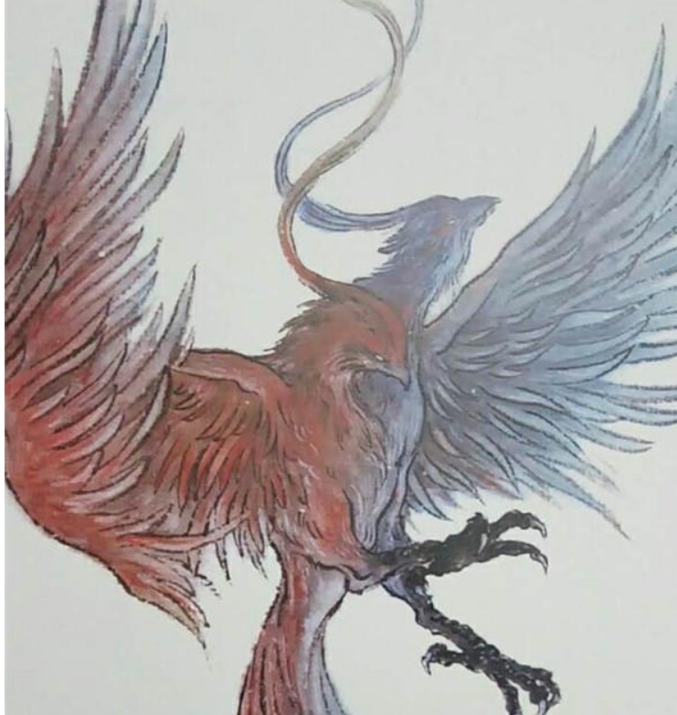 代表爱情的除了喜鹊还有这种一只翅膀的鸟你想见见吗