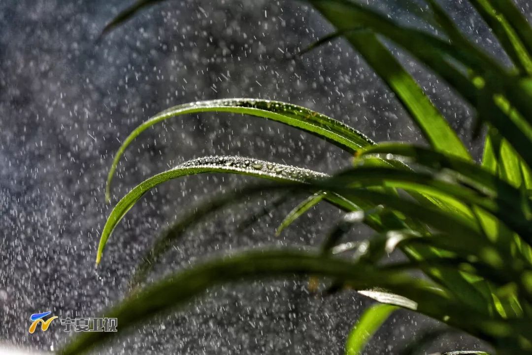 除了食粥,雨水節氣不應急於脫去冬衣,要注意防寒保暖.