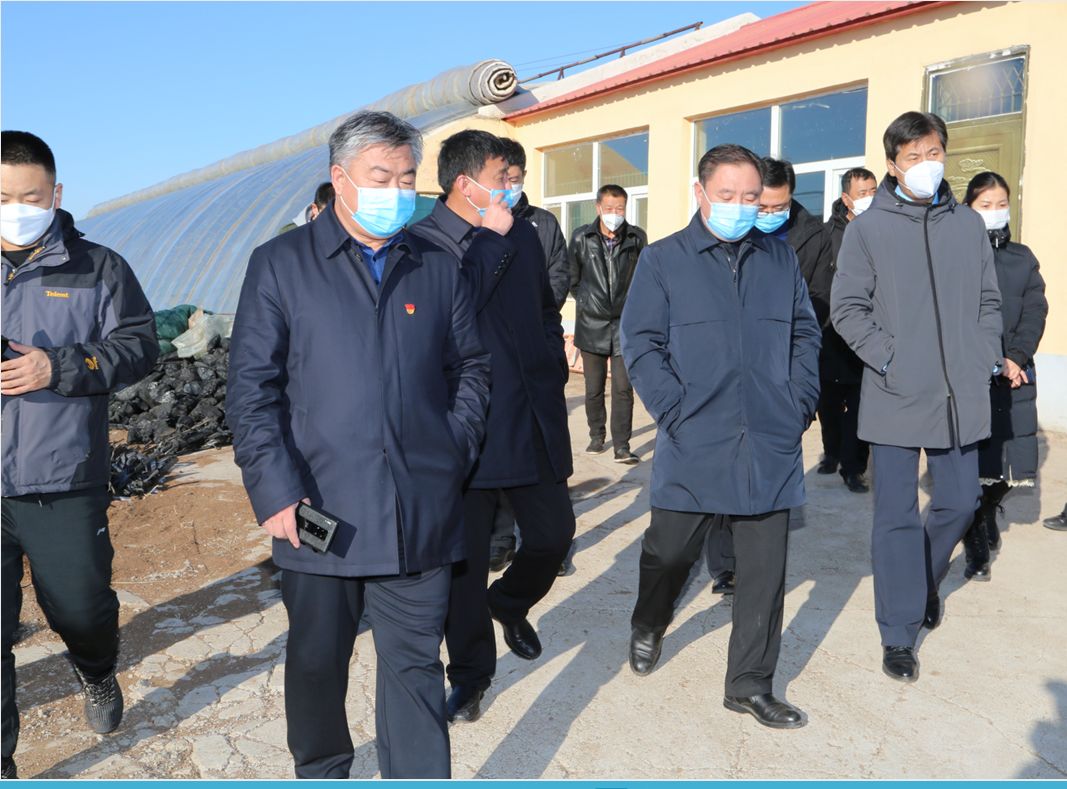 时政要闻盟人大工委副主任旗委书记朱成帮到科尔沁镇