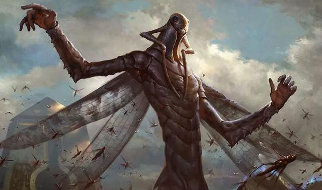 原创 蝗虫有可能进化出智慧吗?时间足够真的谁都可以吗?