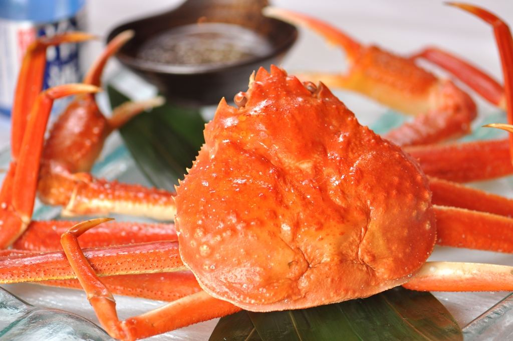 雪蟹是一种十分高级的海鲜,雪蟹饱满的大长腿中的蟹肉就是雪蟹最吸引
