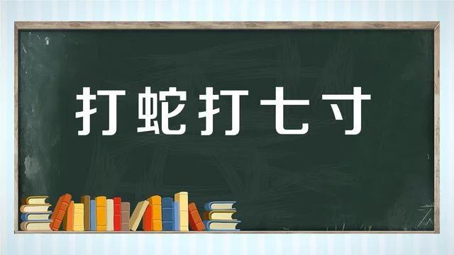 打蛇海报图片