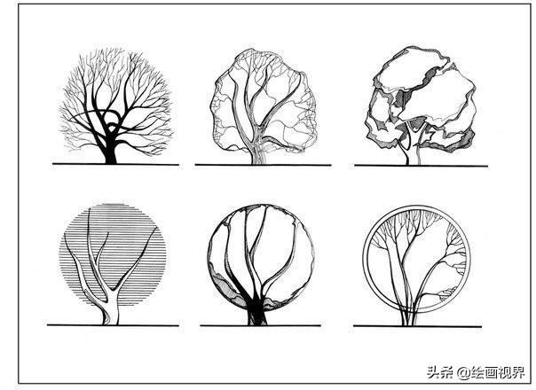 干货植物手绘很难画教你50种常见植物手绘线稿收藏起立临摹