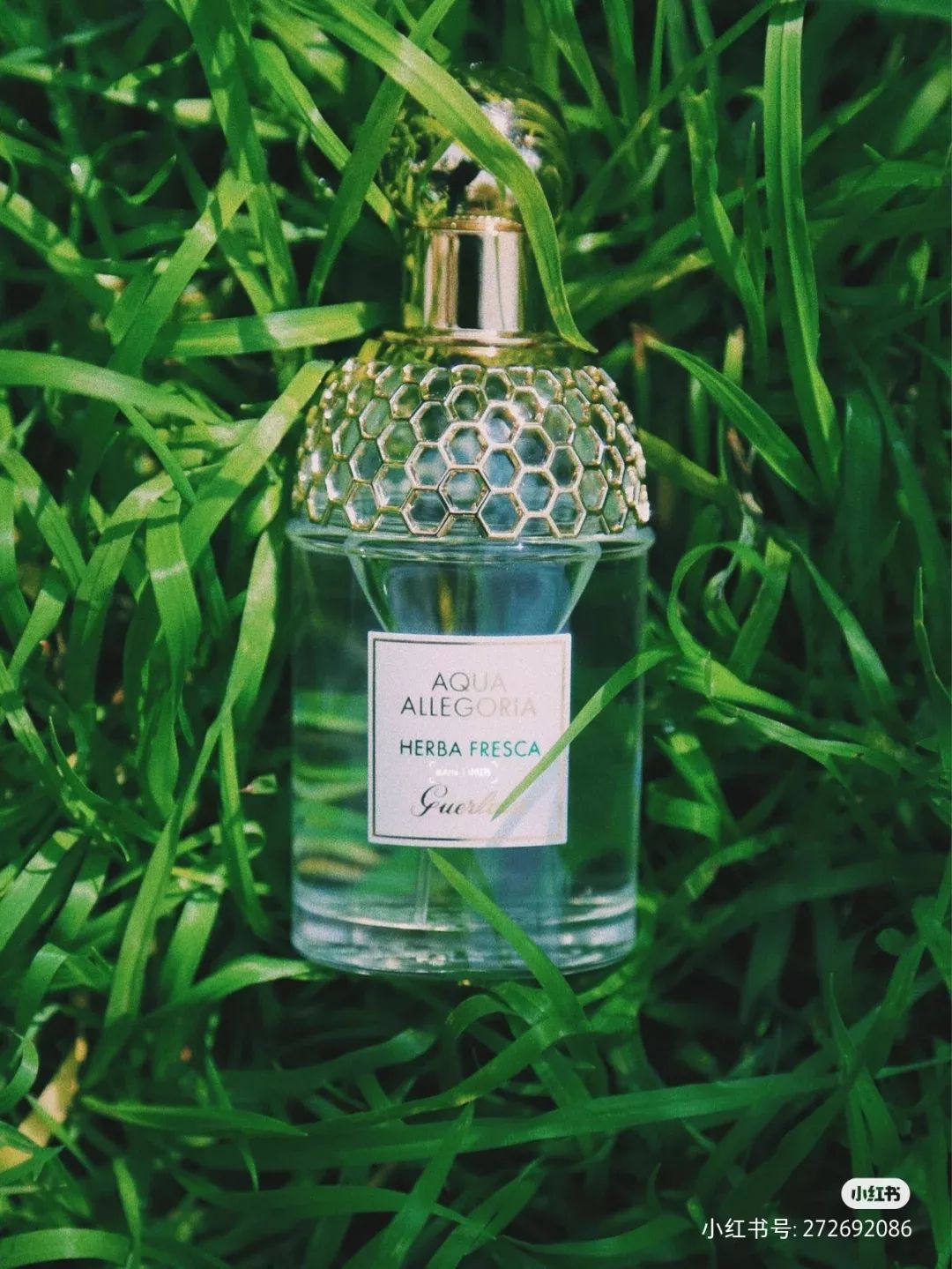 没法摘掉口罩又想感受春暖花开试试这八款香水