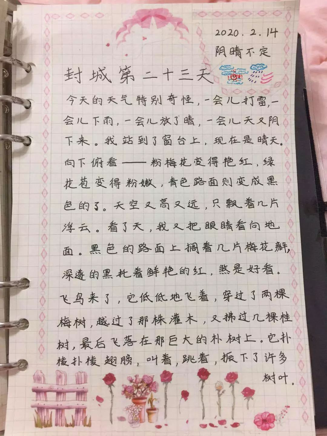 少年战疫陈一凡我的封城日记九