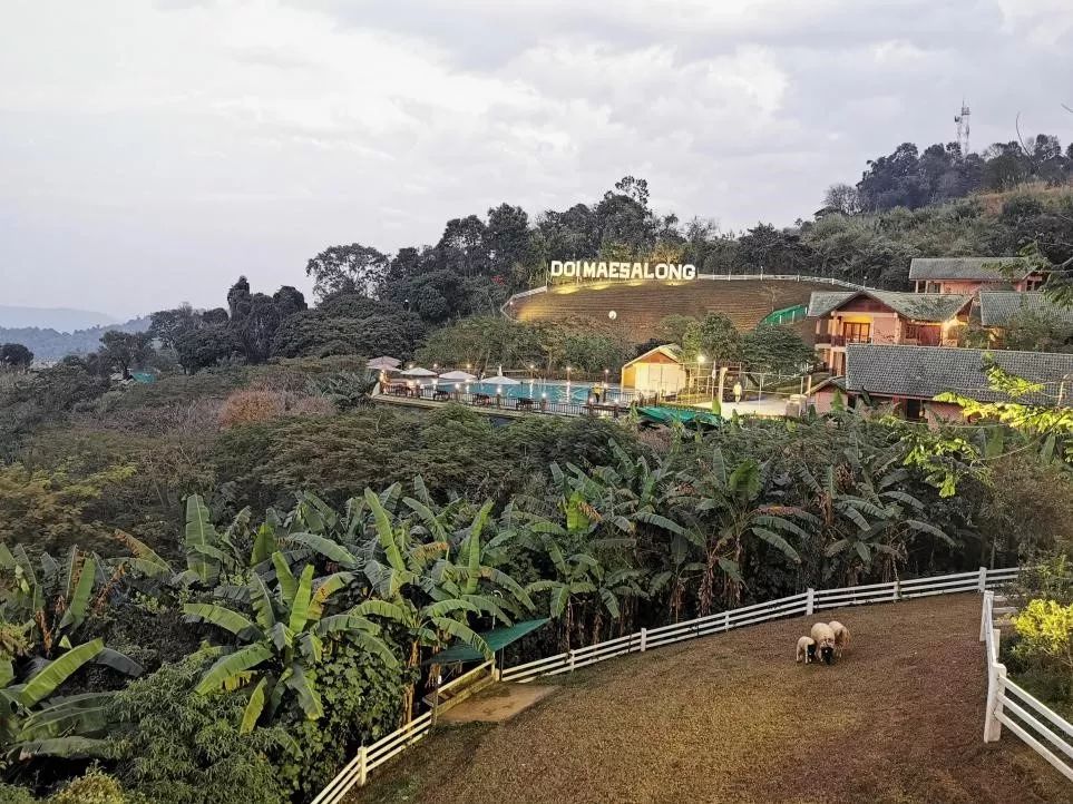 泰国旅游泰北的中国小镇美斯乐