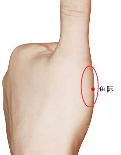 小鱼际的准确位置图片图片