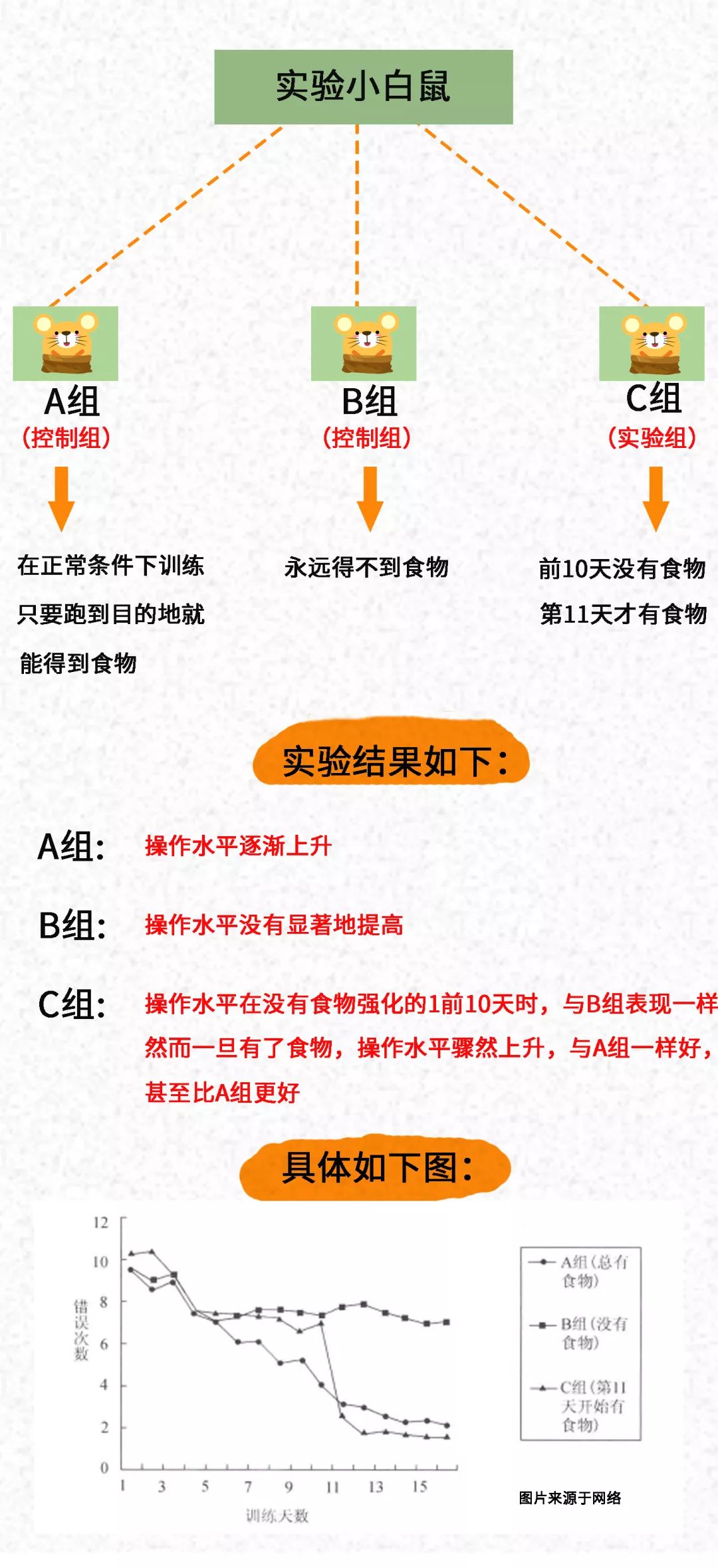 托尔曼把实验中用到的老鼠分为abc三组,让老鼠走迷宫.