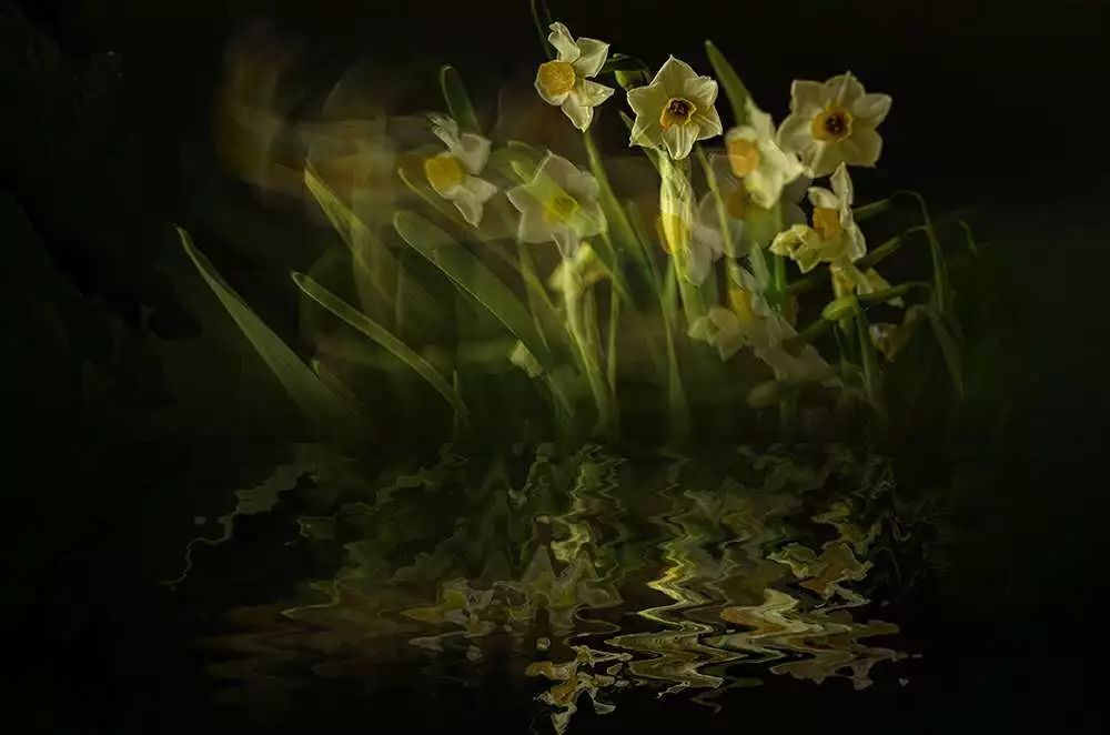 《又见枝头绽新芽》作者:余生悠然《凡间五彩诱佛烛