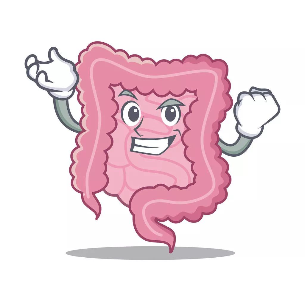 做好这件事,身体便有了坚不可摧的屏障 | 普唯尔_肠道