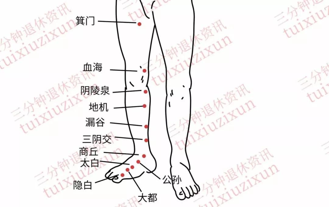 箕门的准确位置图作用图片