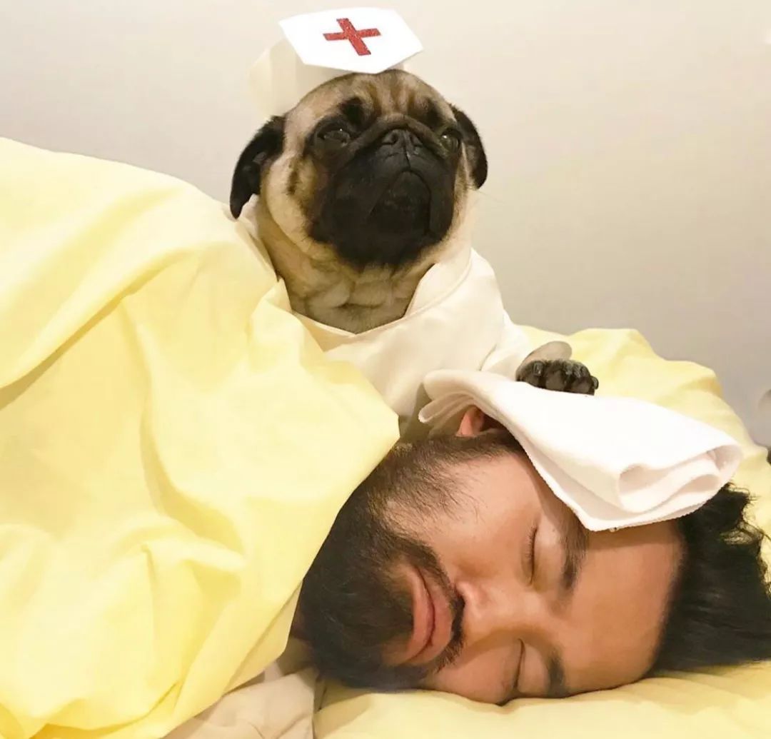 主人手术我的给办小护士擦汗哈哈哈哈哈,和这贱兮兮的主人我也不想和