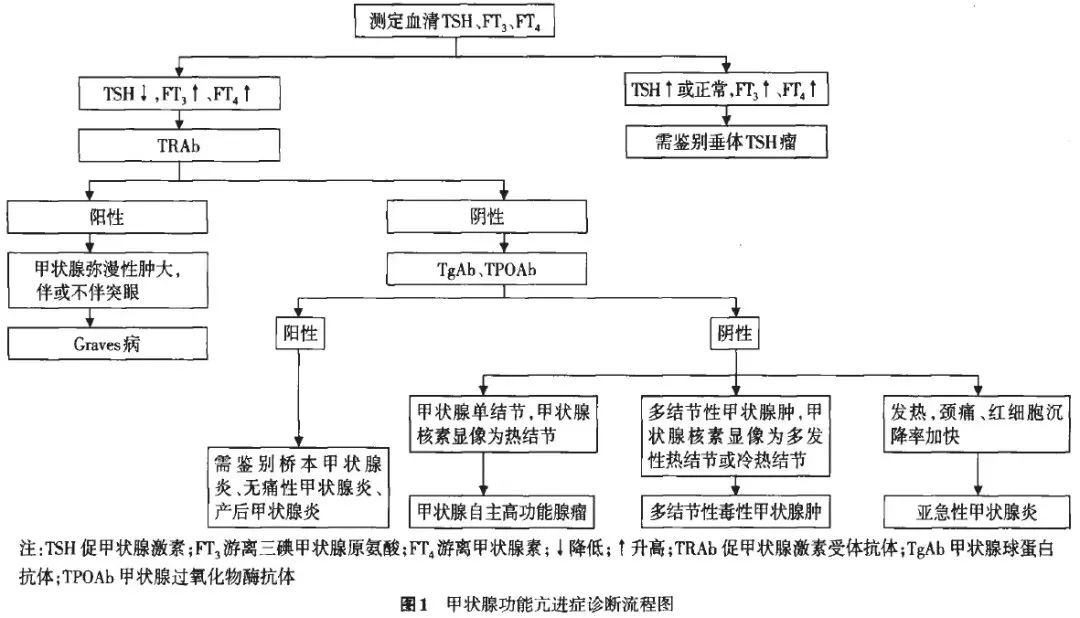 诊断流程:甲亢的诊断流程4甲状腺危象的诊断评分3在以上标准中,(1),(2