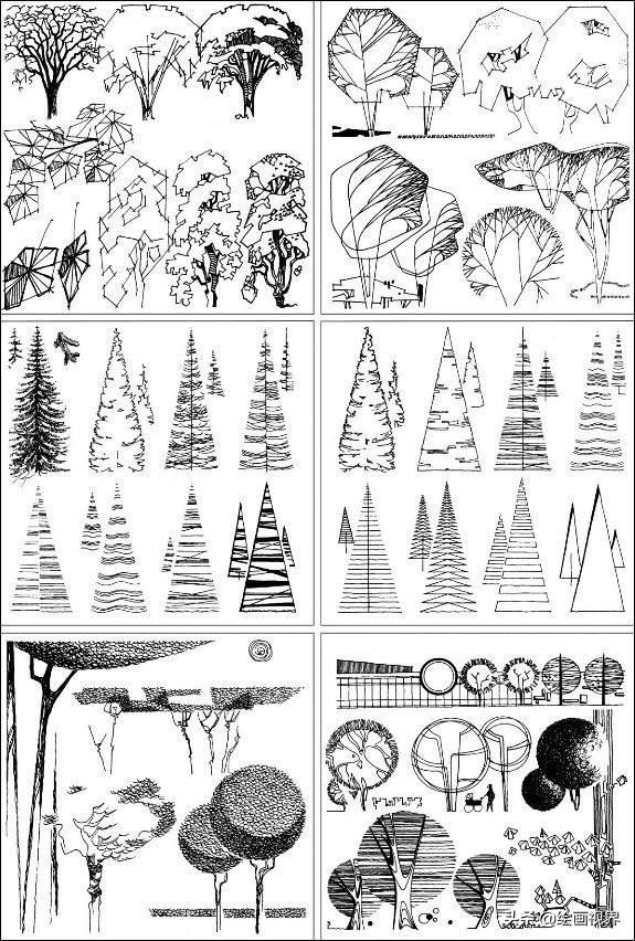 干货植物手绘很难画教你50种常见植物手绘线稿收藏起立临摹
