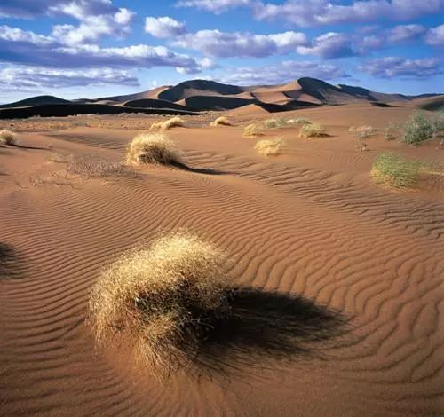 干货| 西北地区荒漠化的原因及治理措施-搜狐大视野-搜狐新闻
