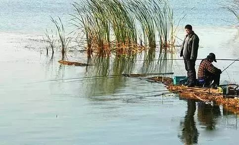 釣魚技巧不是所有鏵尖都是黃金釣位但符合這兩個特徵那就一定是好釣位