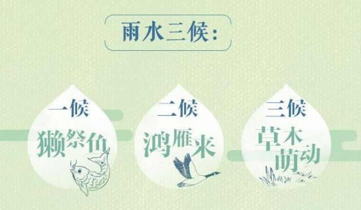 三候草木萌动二候鸿雁来一候獭祭鱼雨水有三候言若/摄雨水第二个节气