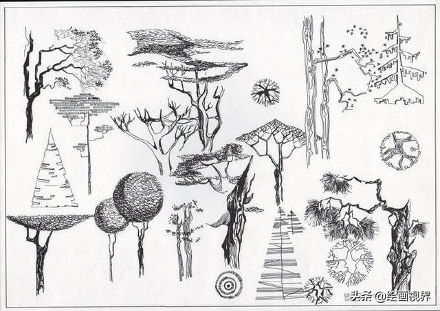 干货植物手绘很难画教你50种常见植物手绘线稿收藏起立临摹