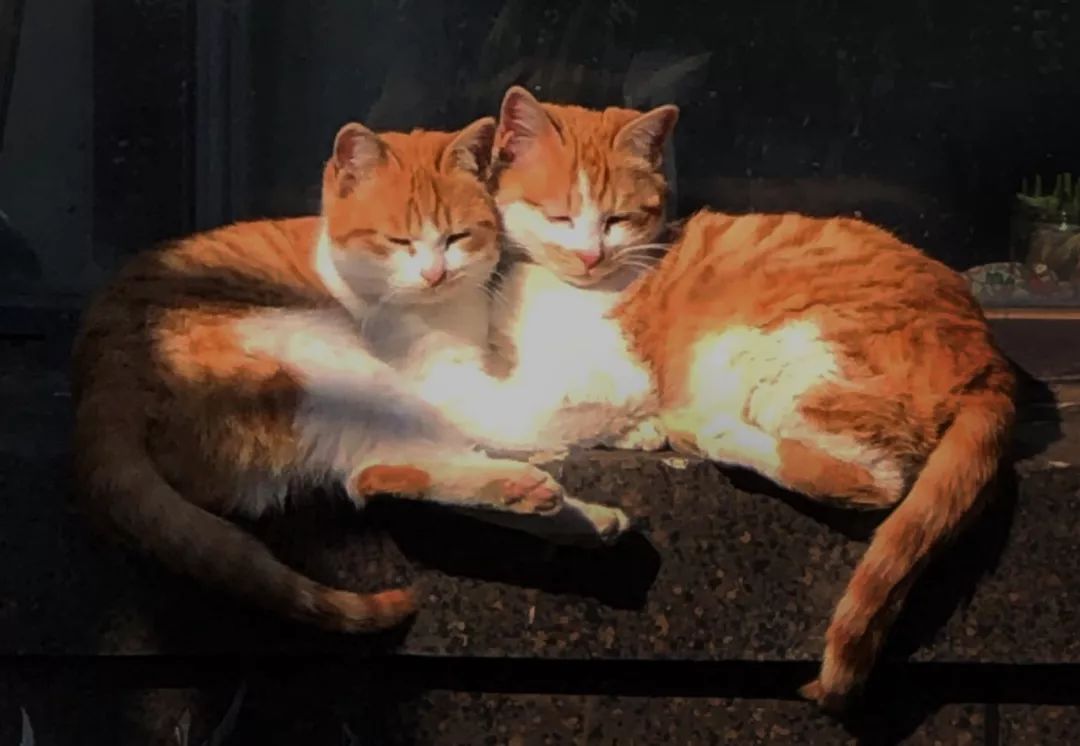 第440期河南摄影网影友作品选