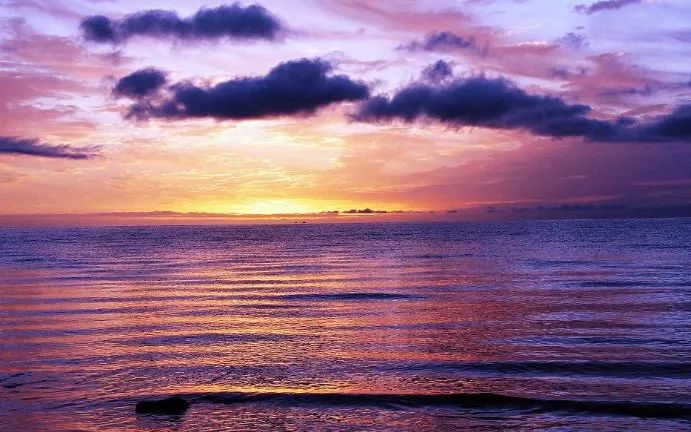 第440期河南摄影网影友作品选