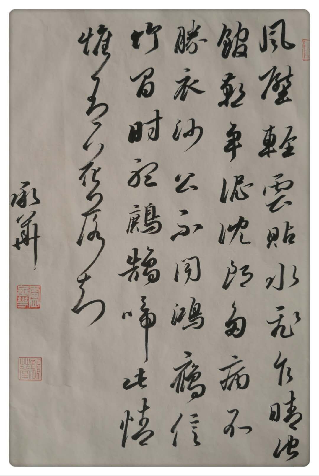 80后书法家卢承华挥毫泼墨书写浓彩人生