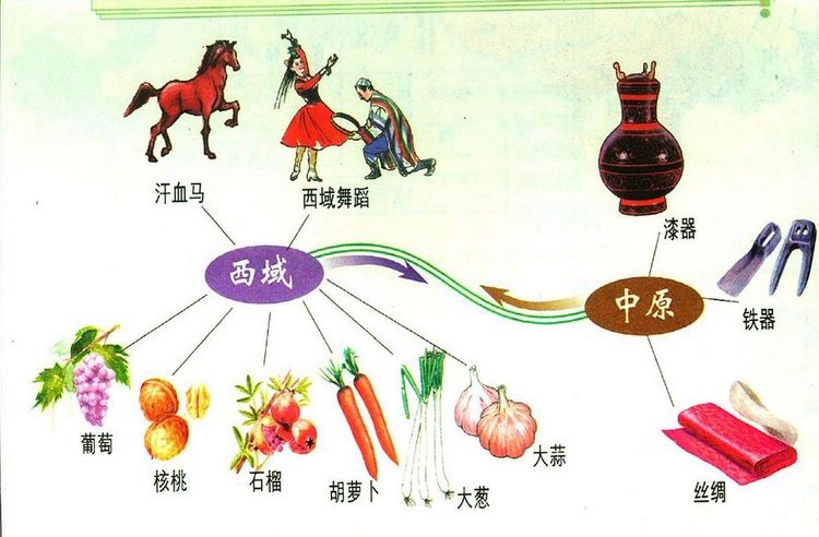 张骞从西域带回了汗血马(传说流汗像流血的马,非常适合骑兵,西域舞蹈