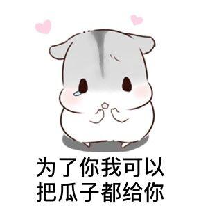 表白全套表情包千万不要跟我客气早晚都是一个户口本的人