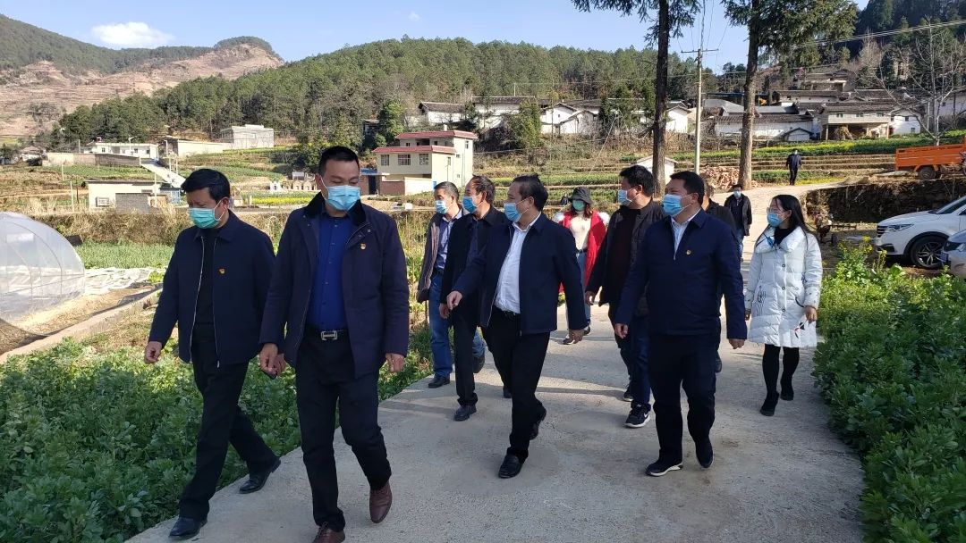 副州长向贵瑜到我县调研人居环境村级集体经济产业发展等工作