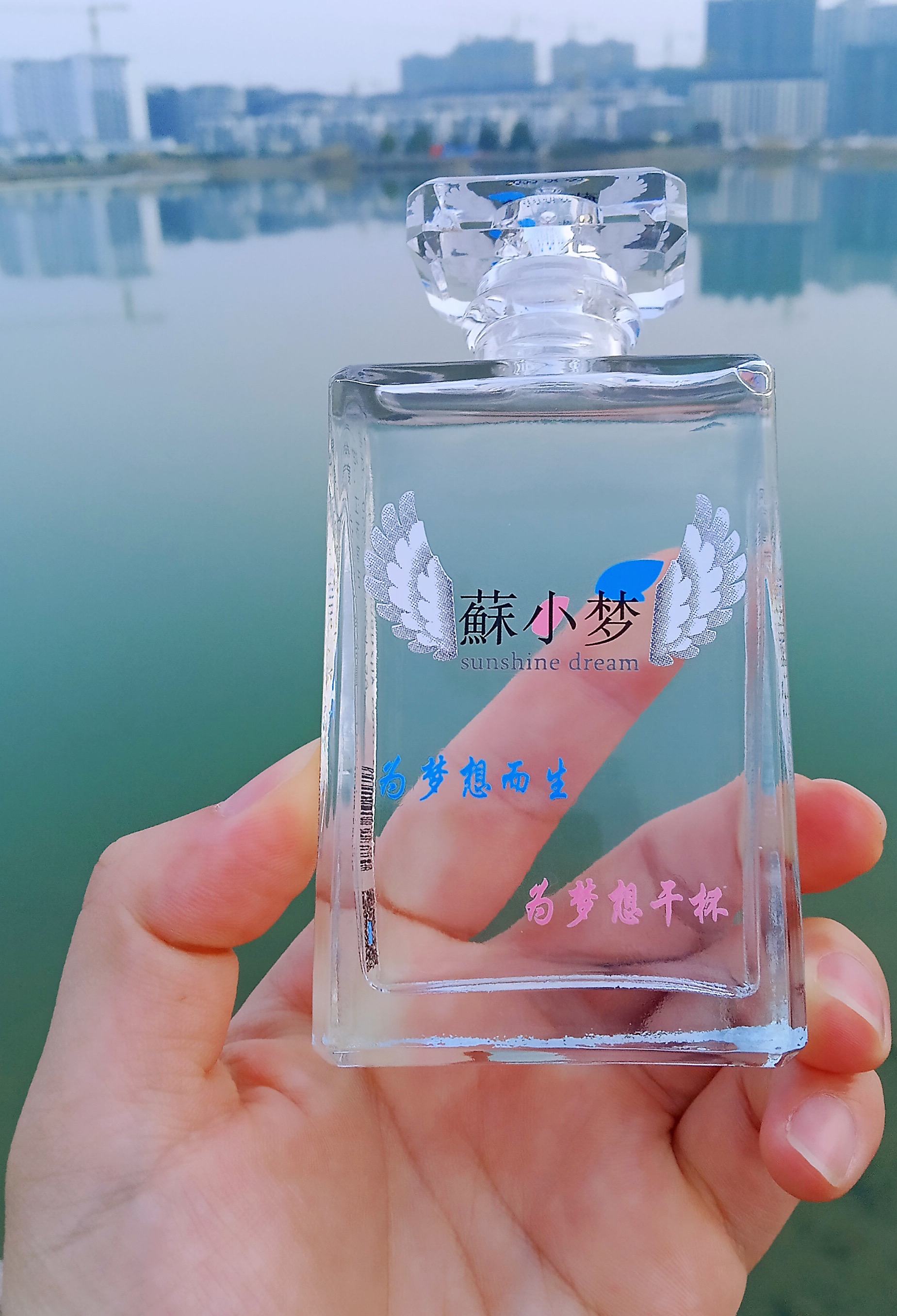 苏小梦为梦想而生为梦想干杯