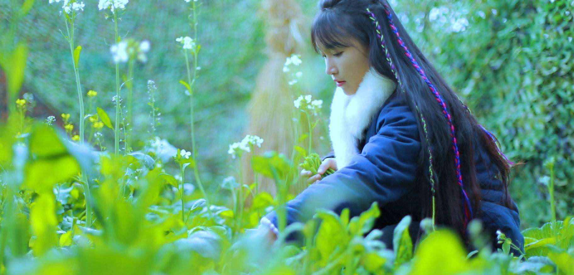 的她从小乡村走向国际,获数千万人喜爱,白岩松都夸她有才华_李子柒