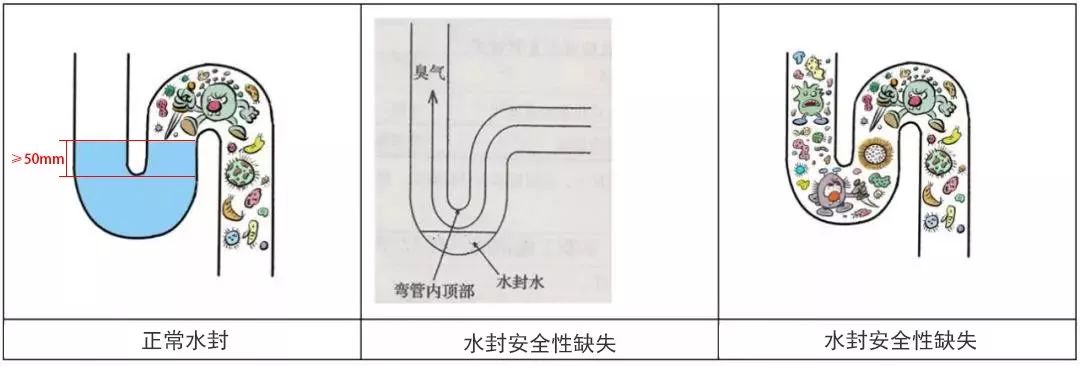 水封作为保障室内环境不被排水系统内有害物质侵害的最后屏障至关重要