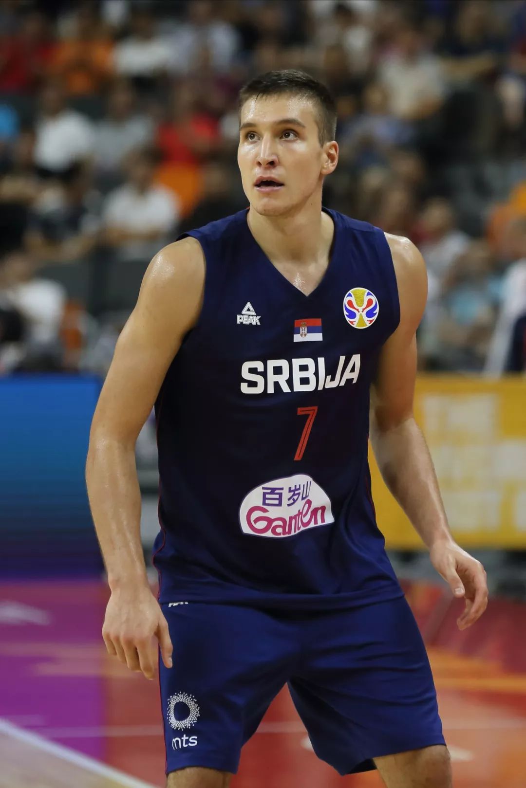 多年来,特奥多西奇一直被誉为欧洲最强后卫,更是塞尔维亚男篮后场当仁