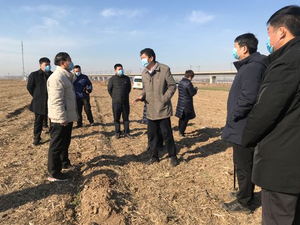 梁常运要求67城郊乡打造高速公路沿线万里桃花源