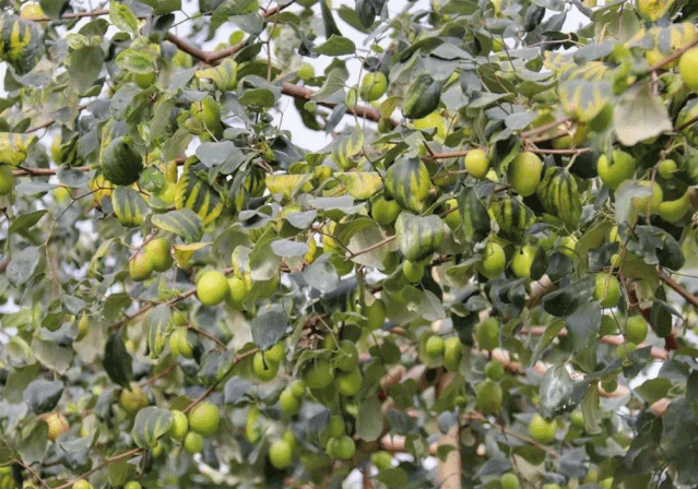 639_448gif 动态图 动图