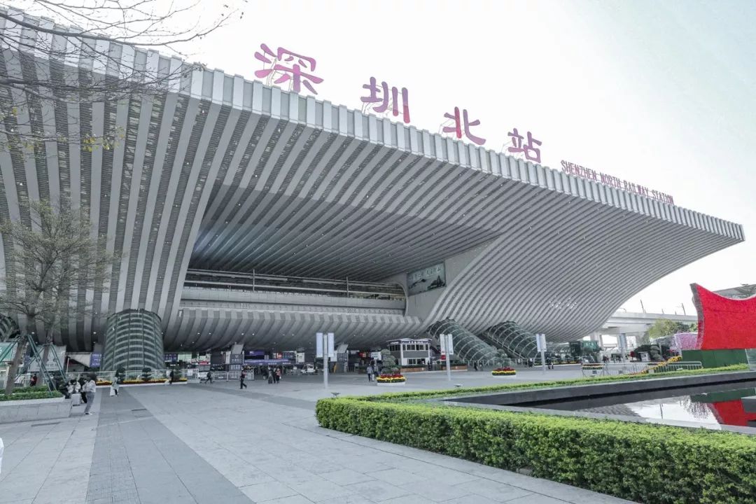 深圳这座城里有光