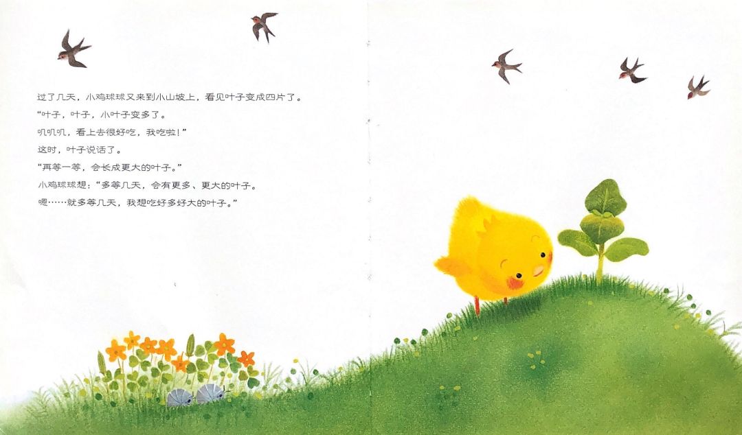 韵海发布绘本夜读③小鸡球球和向日葵