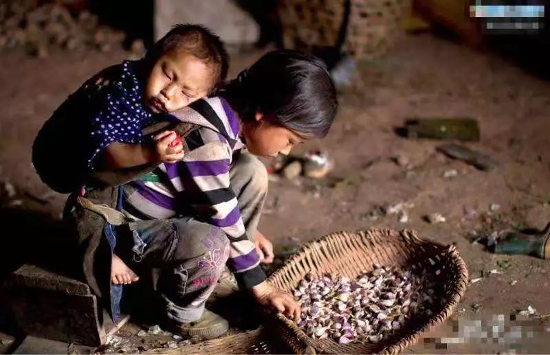 散文||渴望读书的小女孩