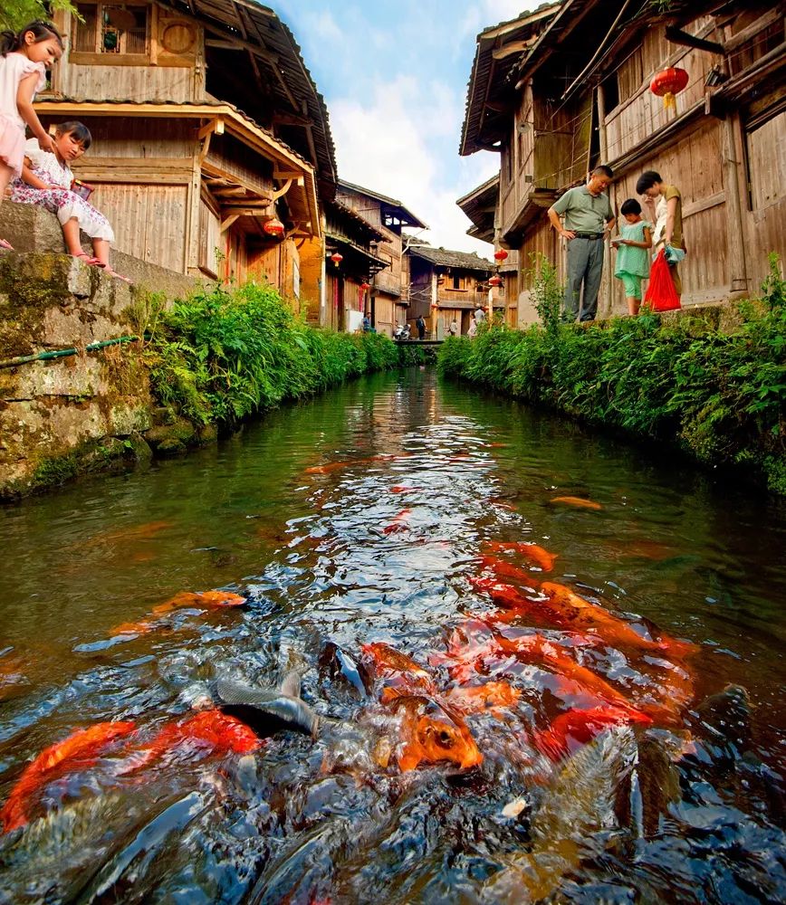 福安市白雲山廉村景區柏柱洋紅色經典旅遊區穆雲畲族鄉生態旅遊區寧德