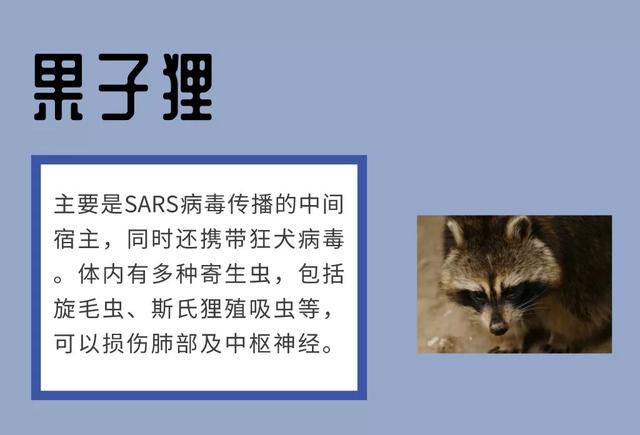 从古至今,传染病为什么总是不定期出现?_病毒