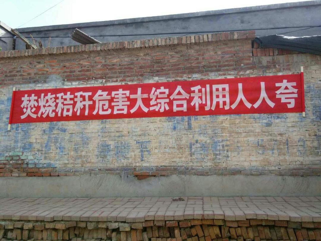 清除隐患,加强巡查 武邑县做到疫情防控,秸秆禁烧两不误_宣传