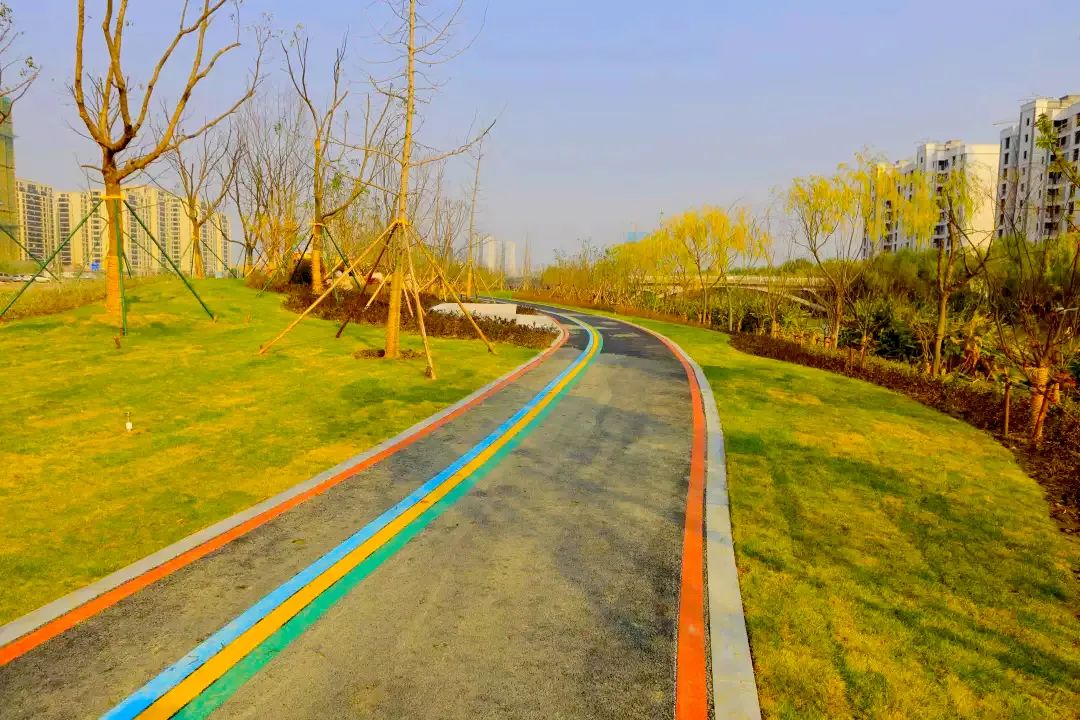 喜讯我市这条绿道改造提升工程获奖啦