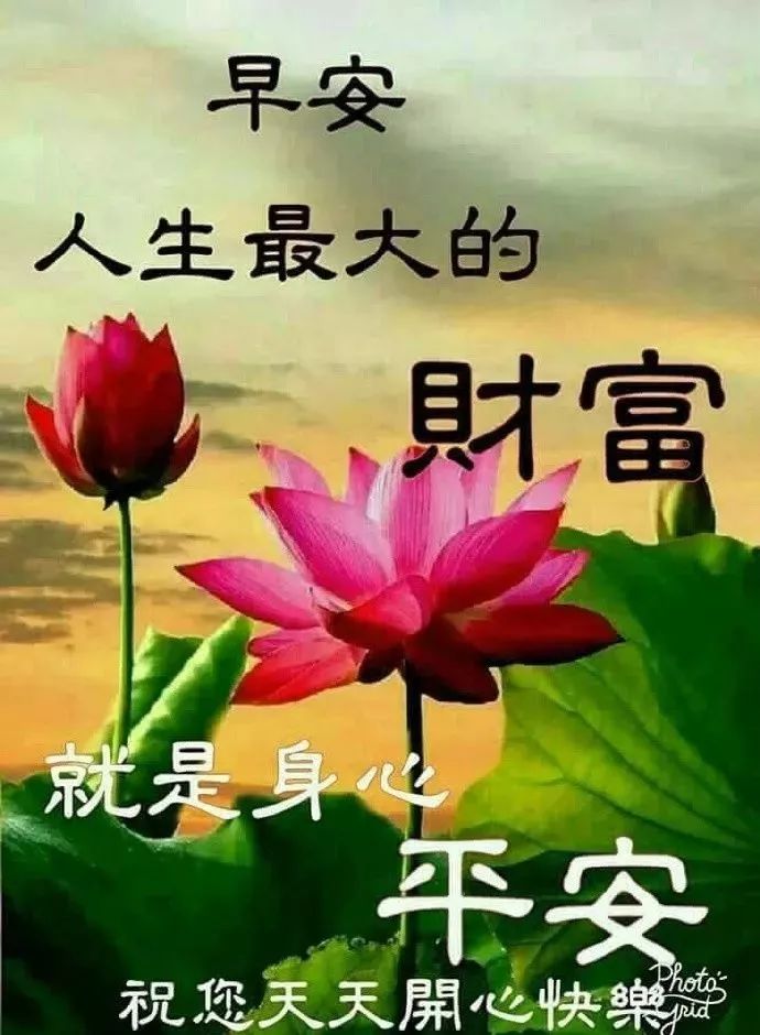 特漂亮早上好問候圖片溫暖人心的早上祝福語