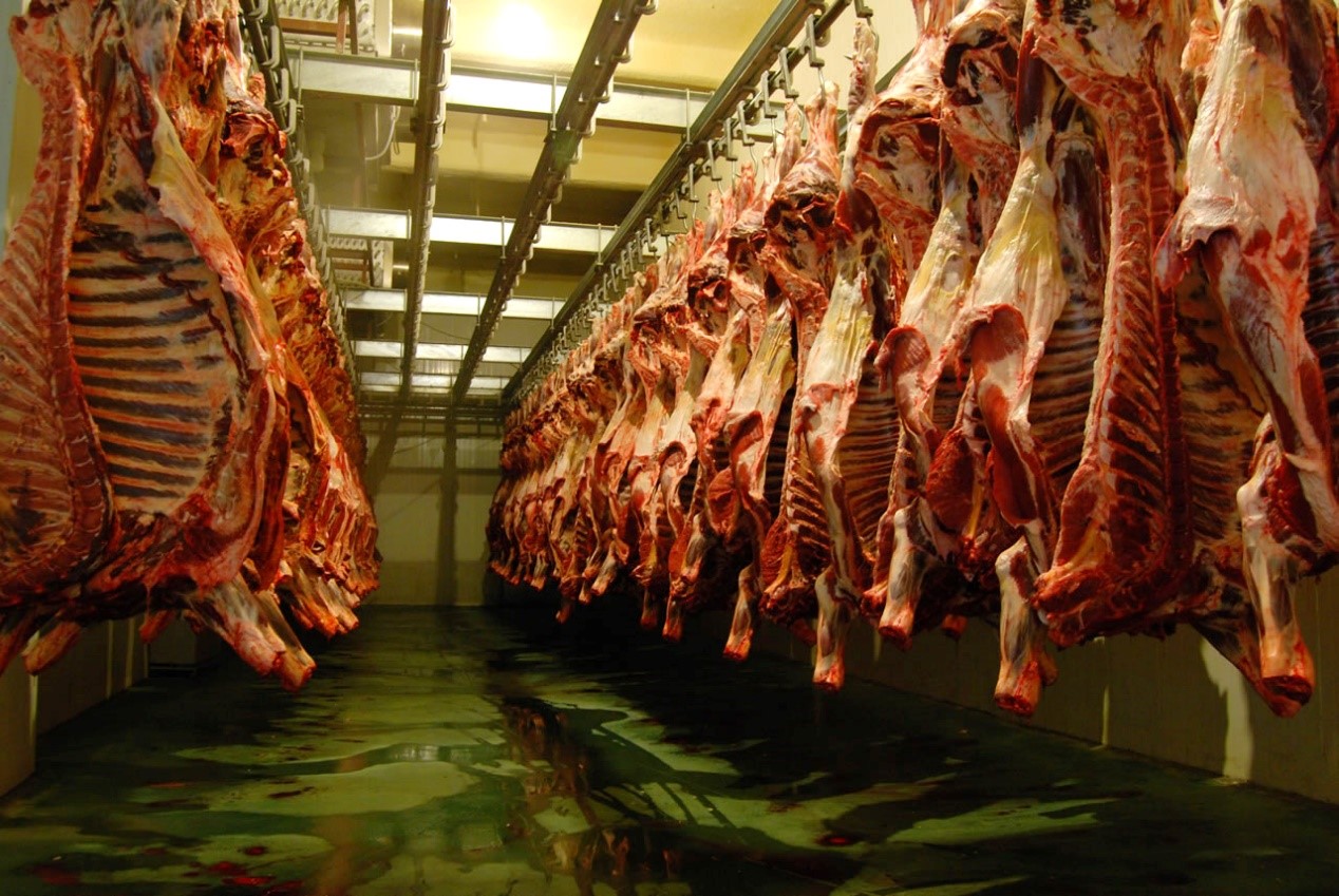 "物美价优"的恒都牛肉,绝对是一顶一的健康美味!_加工