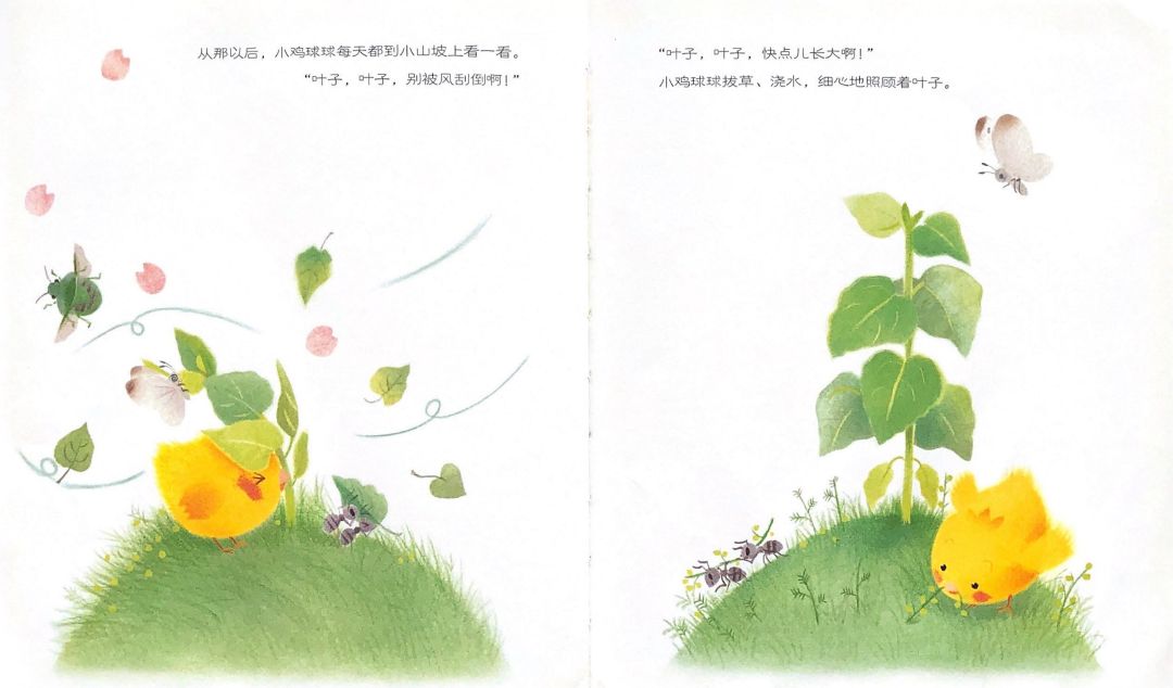 韵海发布绘本夜读③小鸡球球和向日葵