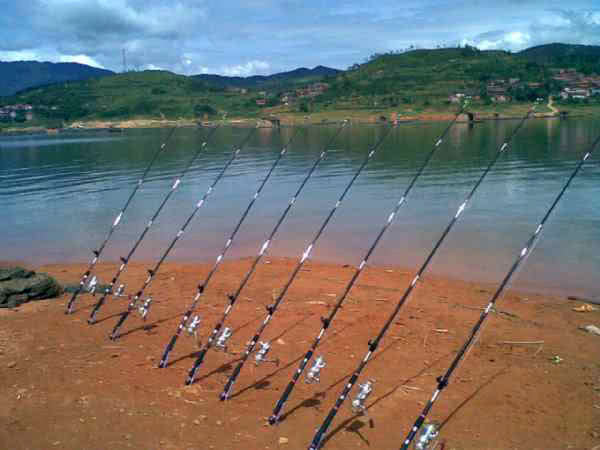 原创海竿钓法如何布阵是不是越多越好从3个方面说说我的经验