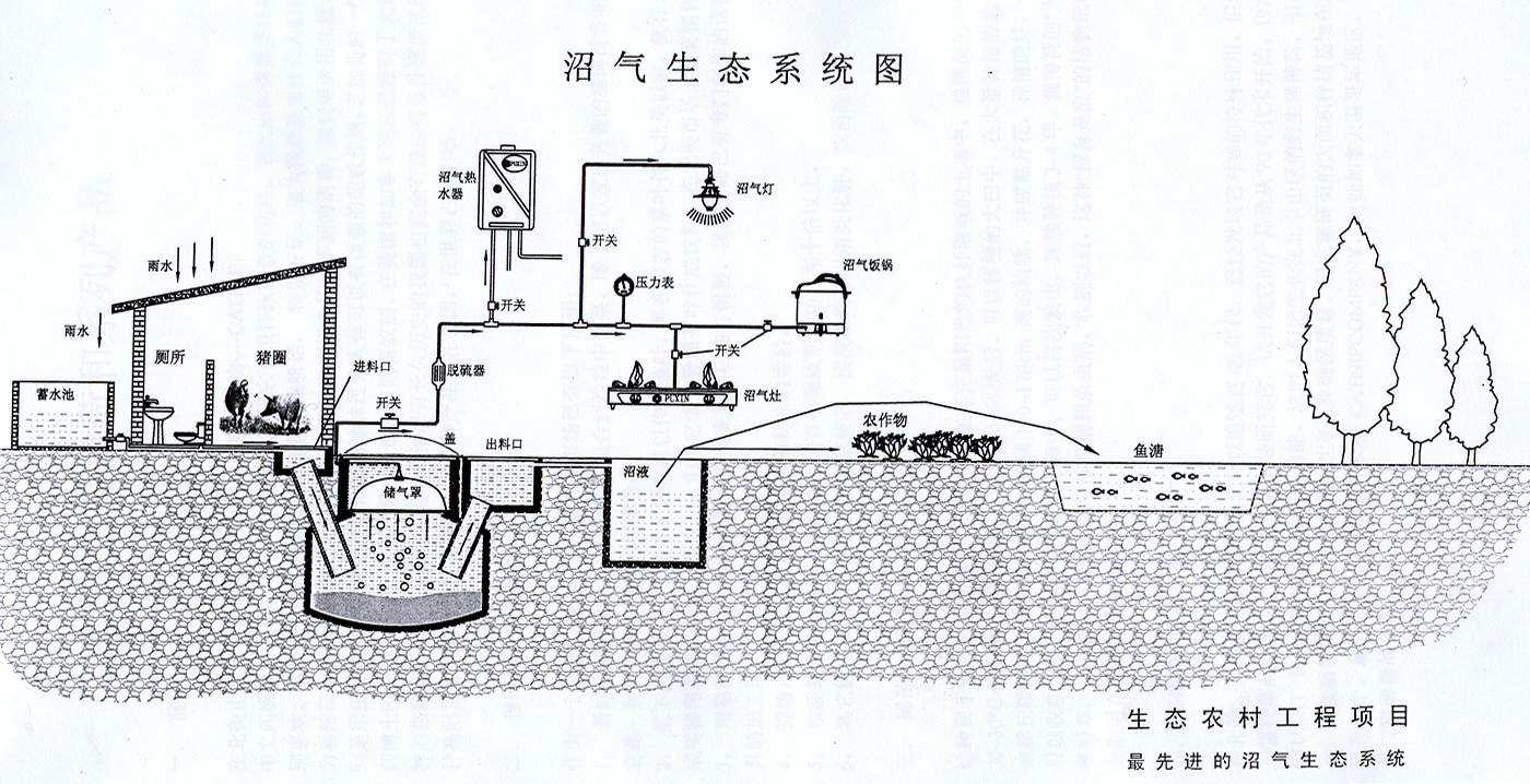 沼气的概念及成分沼气是有机物质在厌氧环境中,在定的温度 湿度酸碱