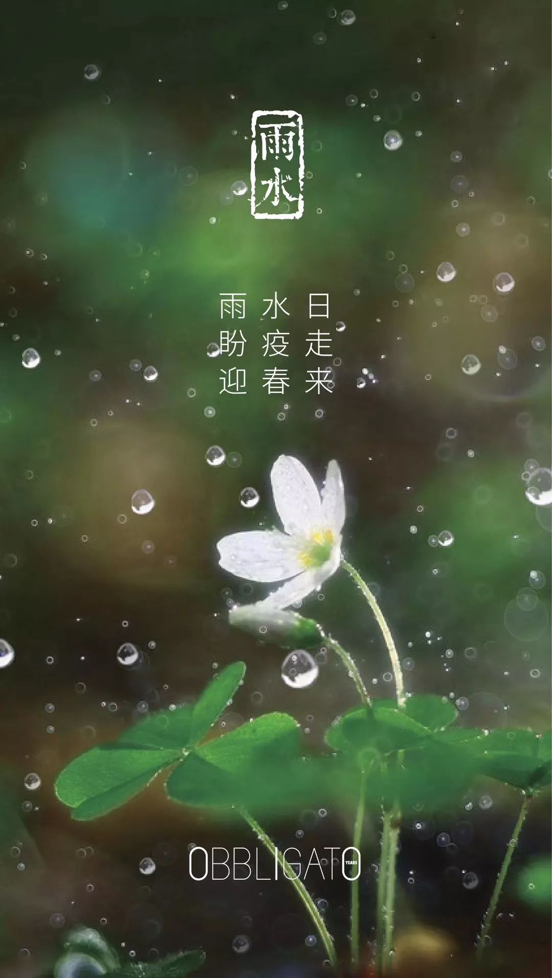 节气雨水春雨至万物生居家按摩护脾胃