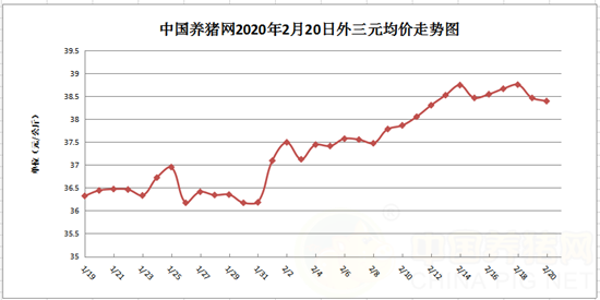 1,生豬價格行情分析 2020年2月20日,據中國養豬網豬價系統監測,全國