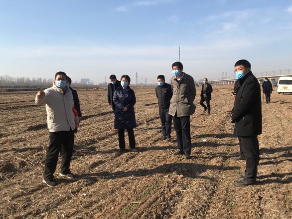 梁常运要求67城郊乡打造高速公路沿线万里桃花源