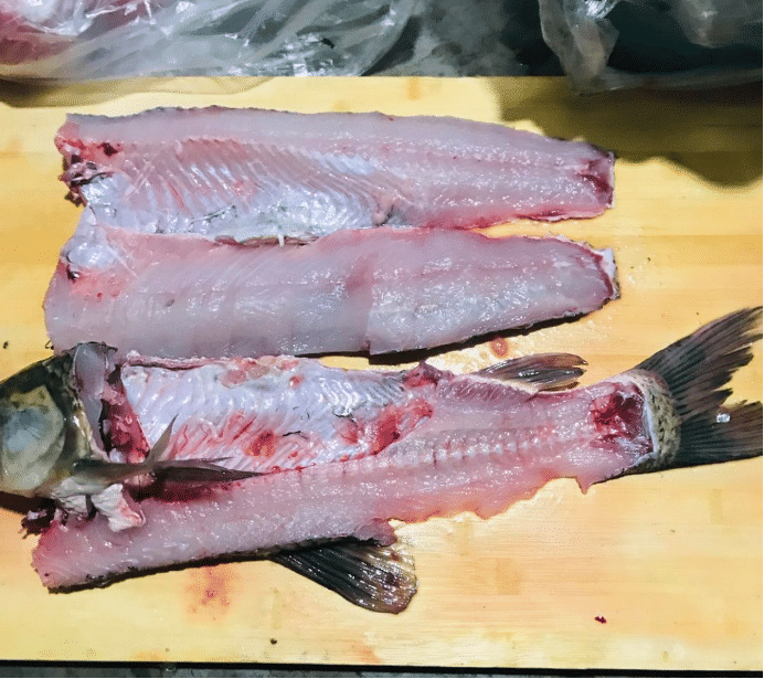 然後從魚尾部分將魚肉一分而為二,並把魚頭切斷,再把魚肉和魚骨切分開